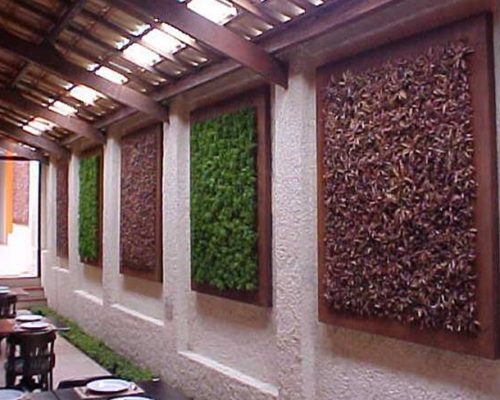 foto5